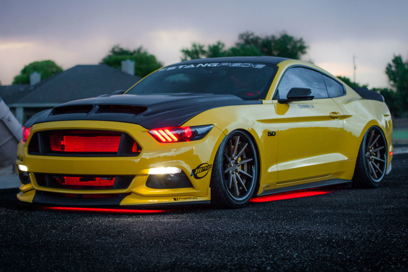 Diode Dynamics RGBW Multicolor Underglow LED Kit thumbnail 2