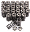 GSC Valve Spring Kits