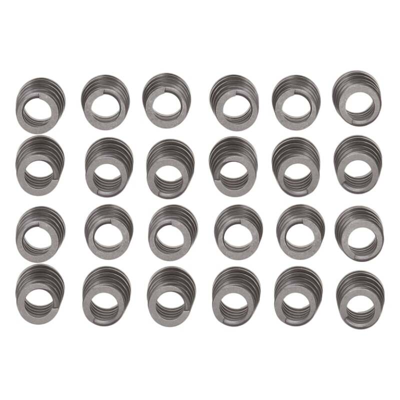 MAN Valve Spring Kits