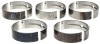 CLE Main Bearing Set