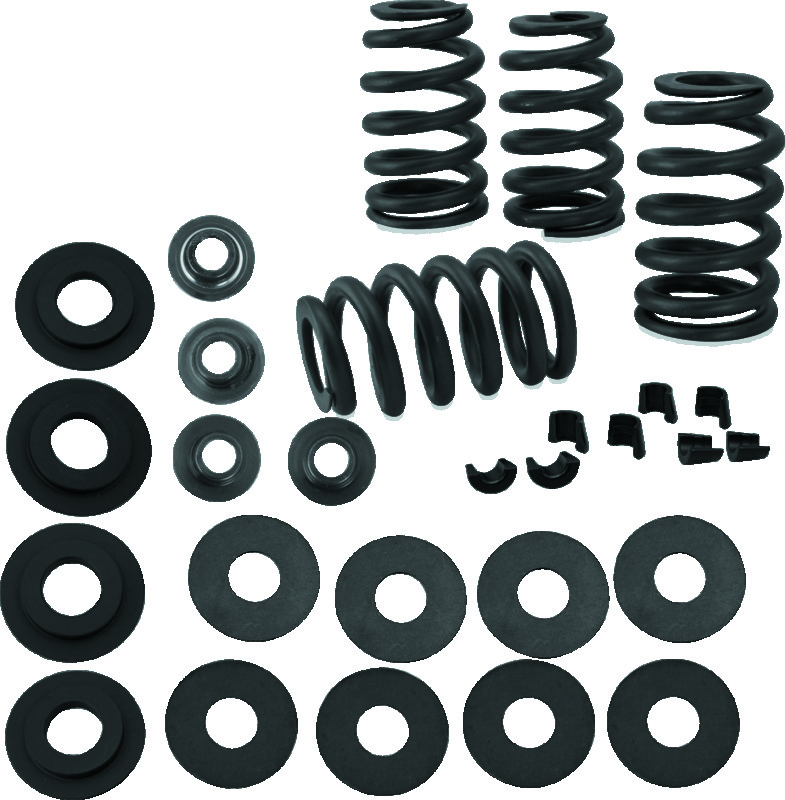 SSC Valve Springs