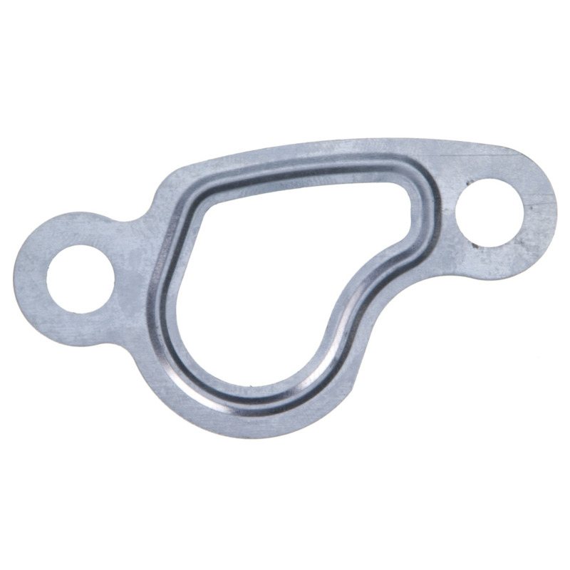 FEL Valve Gaskets