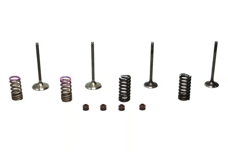 WIS Valve Kits