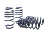HR Race Springs