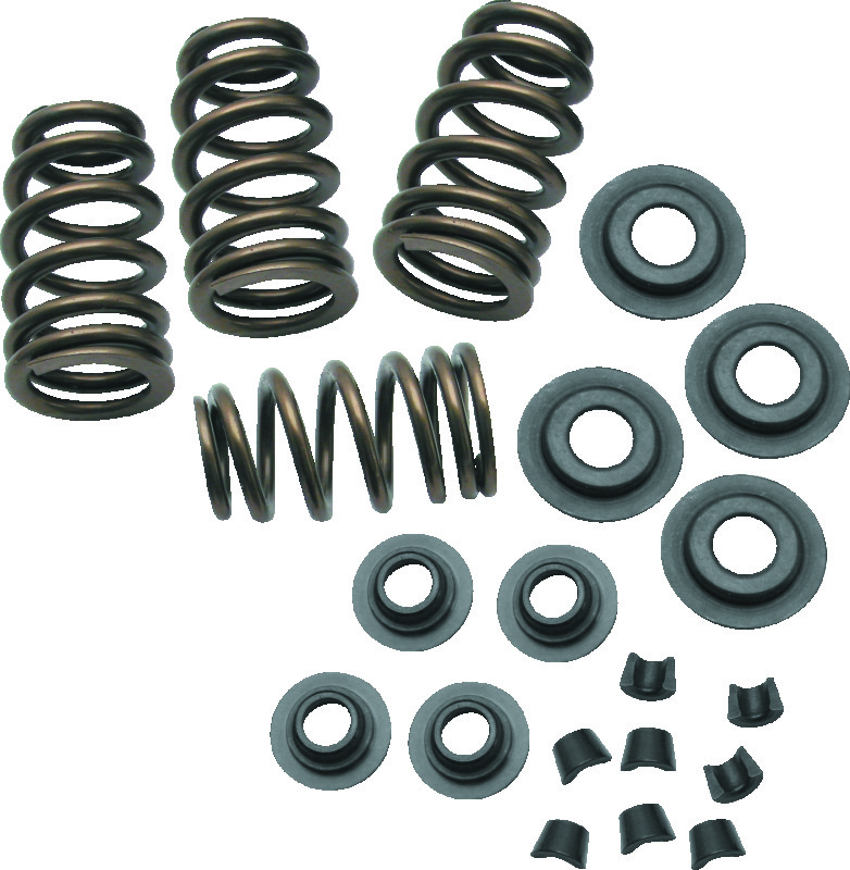 SSC Valve Springs