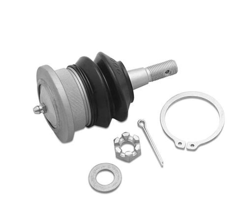 SPR Bushings - Control Arm