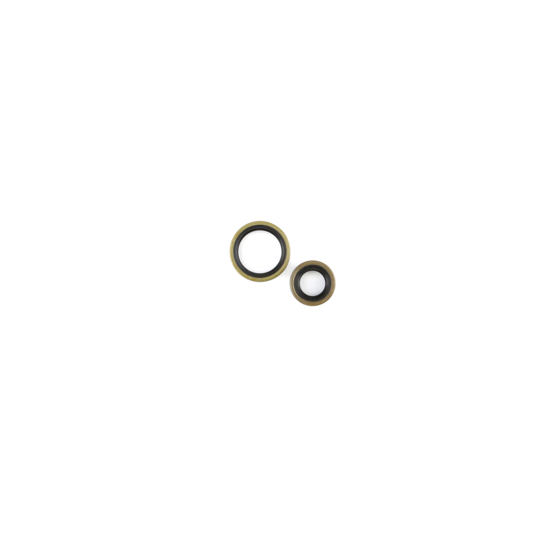 CG Oil Seal Kit