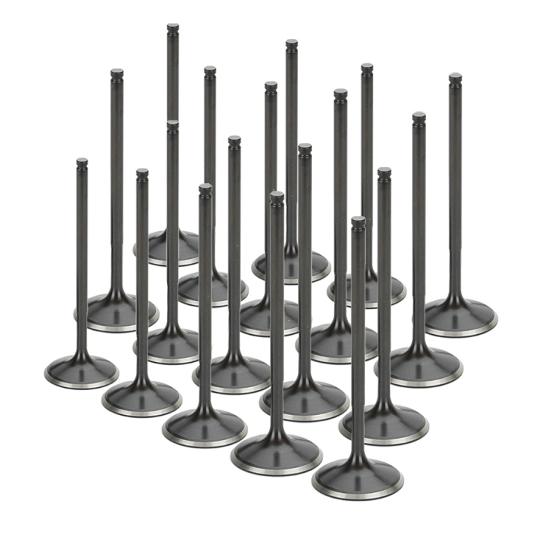 SPT Intake Valves