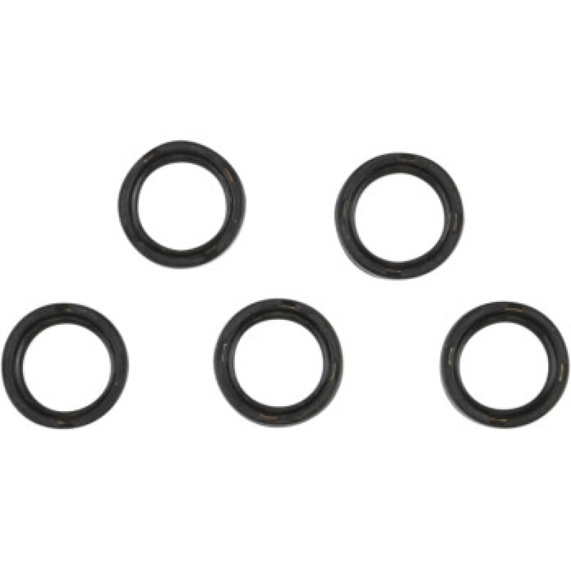 CG Powersports Head Gasket