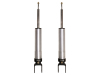 ICO 2.5 Series Shocks