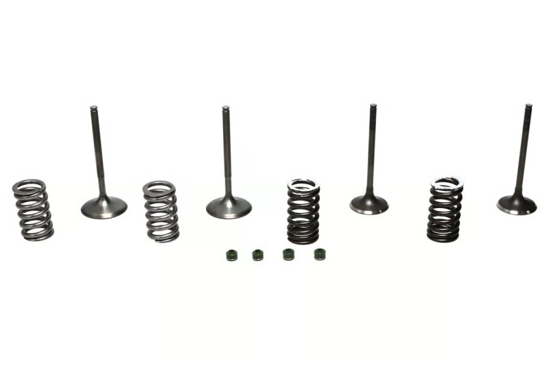 WIS Valve Kits