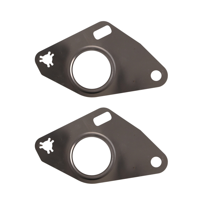 FEL Exhaust Manifold Gaskets