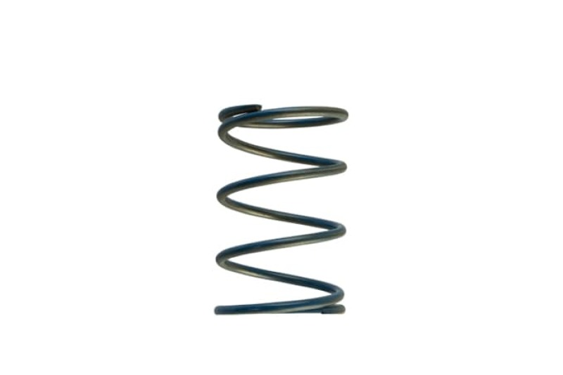 TS Wastegate Springs