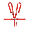RaceQuip Red SFI CAMLOCK 5pt PD Lap Seat Belt thumbnail 9