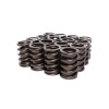 CCA Valve Spring Sets