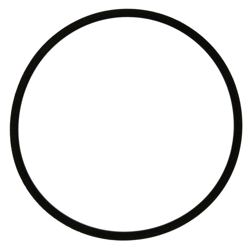 FEL Fuel Injector O-Rings