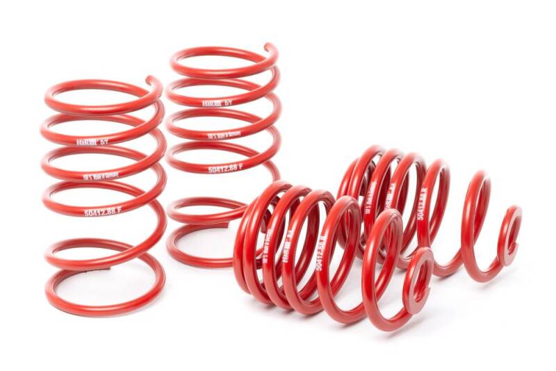 H&R 96-99 BMW M3 3.2L E36 Race Spring (Non Cabrio)
