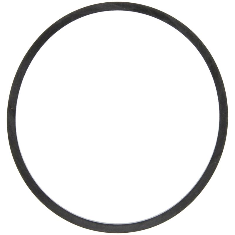 Engine Coolant Thermostat Housing Seal