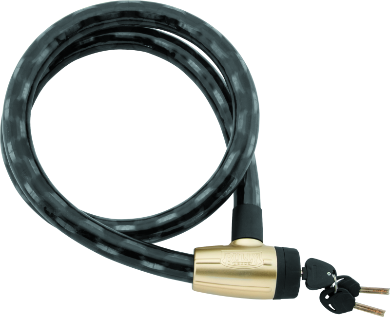 BikeMaster BKM Locks