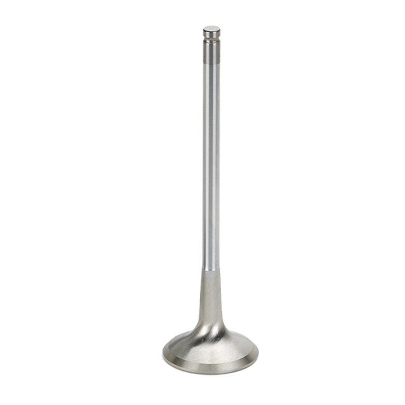 SPT Exhaust Valves