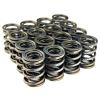 BX Valve Springs