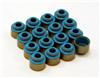 GSC Valve Stem Seal Sets
