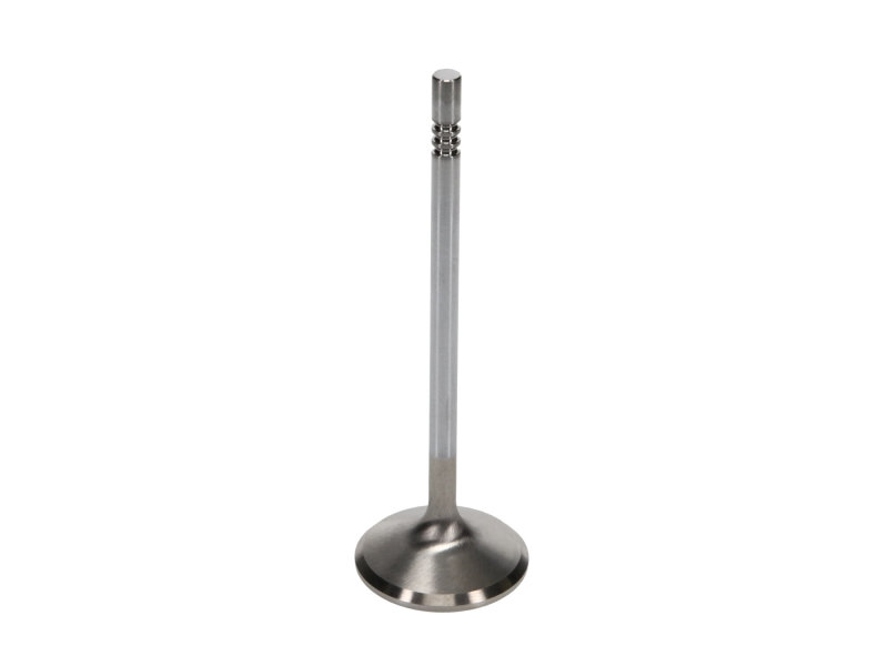 Manley Ford 4.6L 38.5mm Race Master & Extreme Duty Exhaust Valves (Single) thumbnail 8