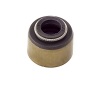 OMI Gaskets/Seals