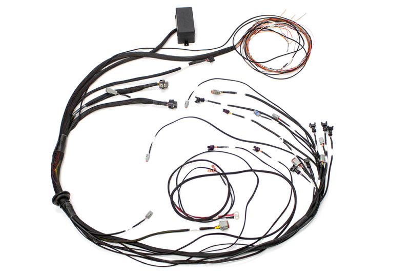 HAL Elite 1000 Term Harnesses
