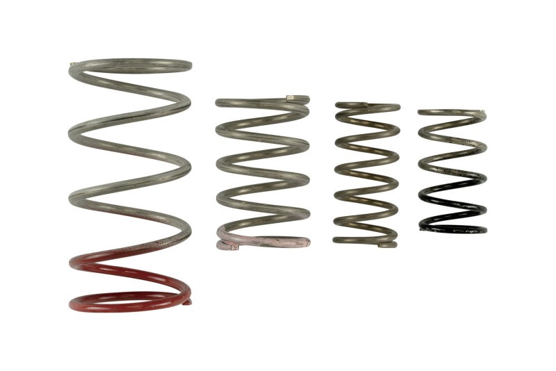 TS Wastegate Springs