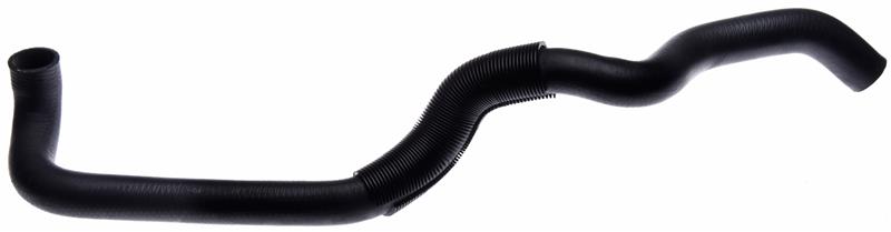 GAT Coolant Hose