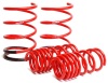 SK Lowering Springs
