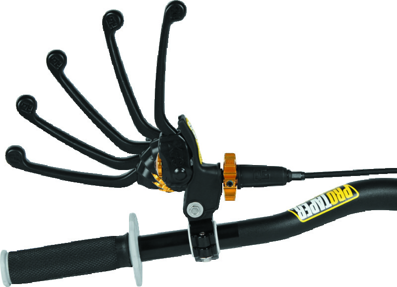 ProTaper Universal Profile Pro Clutch Perch thumbnail 6