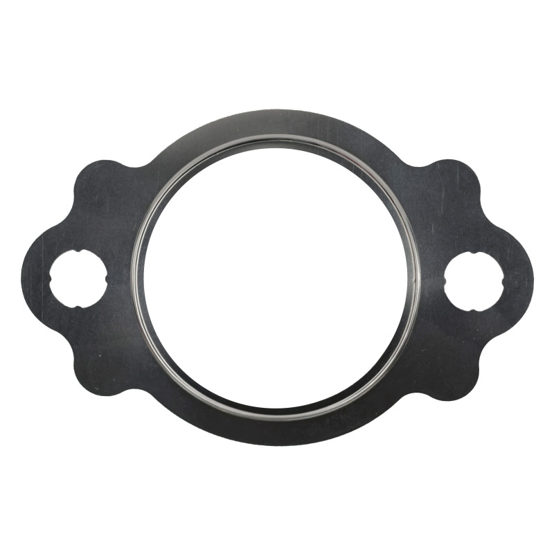 FEL Valve Gaskets