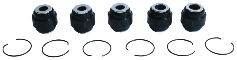 All Balls Racing Rear Ind. Suspension Kit