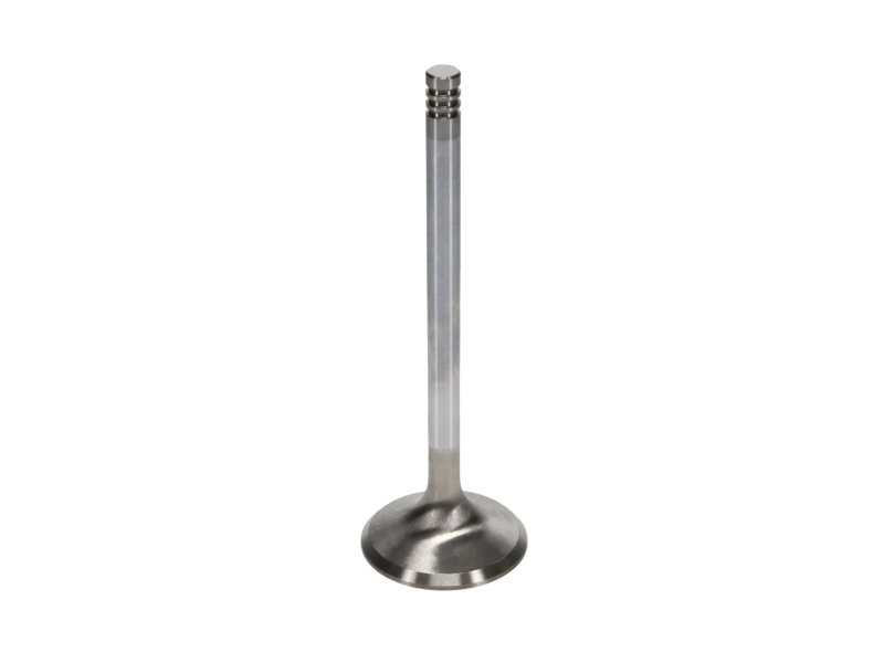 Manley Chrysler Hemi 6.1L 1.625in Race Master B/L Exhaust Valves (Set of 8) thumbnail 9
