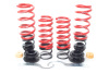 HR VTF Adj Lowering Springs