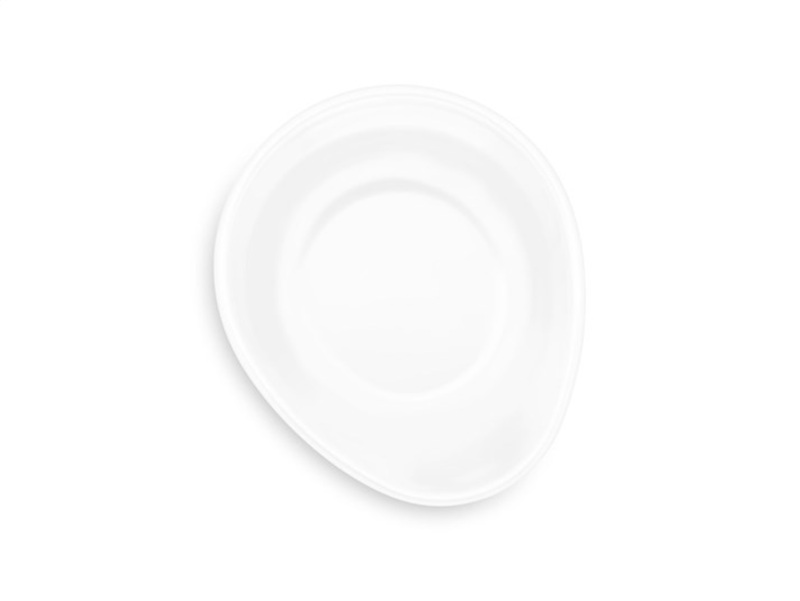 WT Pet Feeding System