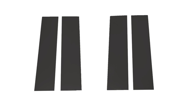 PUT Blk Platinum Pillar Posts