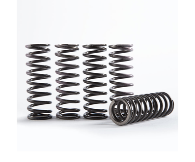HIN Hi-Temp Clutch Spring Kit