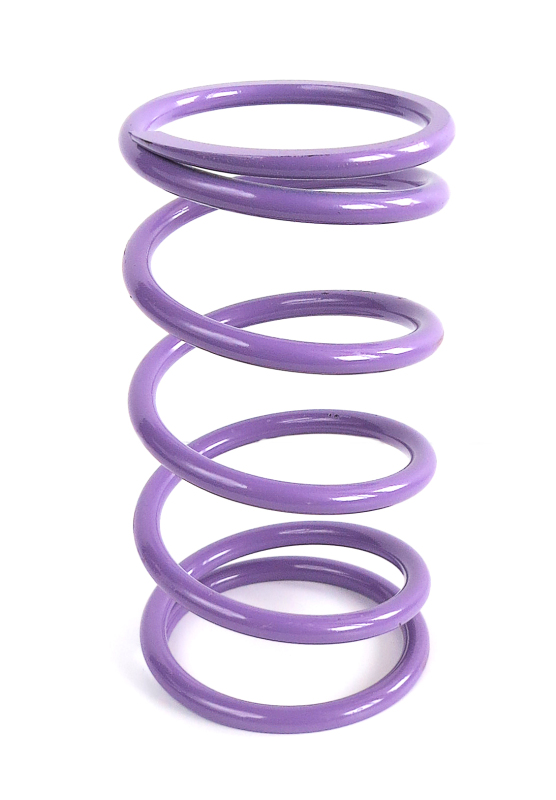 EPI Clutch Springs