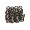 CCA Valve Spring Sets