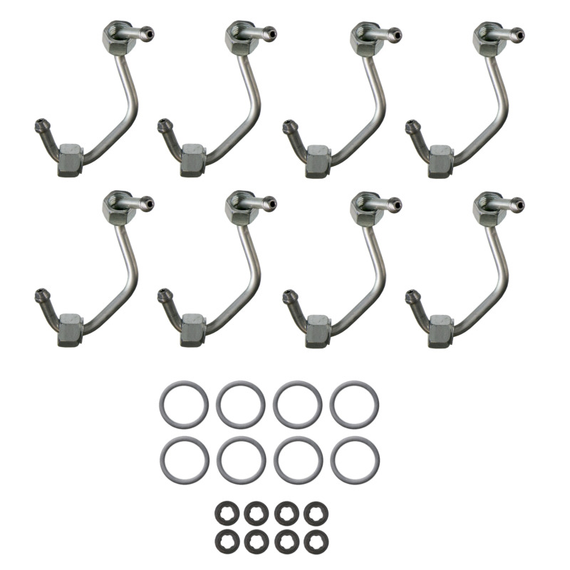 FEL Fuel Injector O-Rings