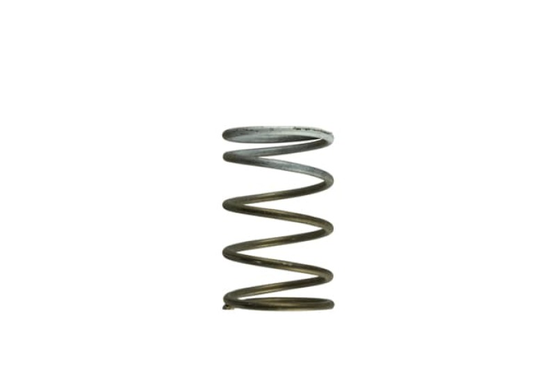 TS Wastegate Springs