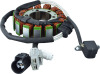 ARR Stator Coil