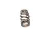 CCA Valve Springs