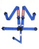 RaceQuip Blue L & L 5pt Seat Belt thumbnail 4