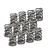 SPT Dual Valve Springs