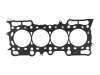 SK Head Gaskets