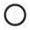 OMI Gaskets/Seals